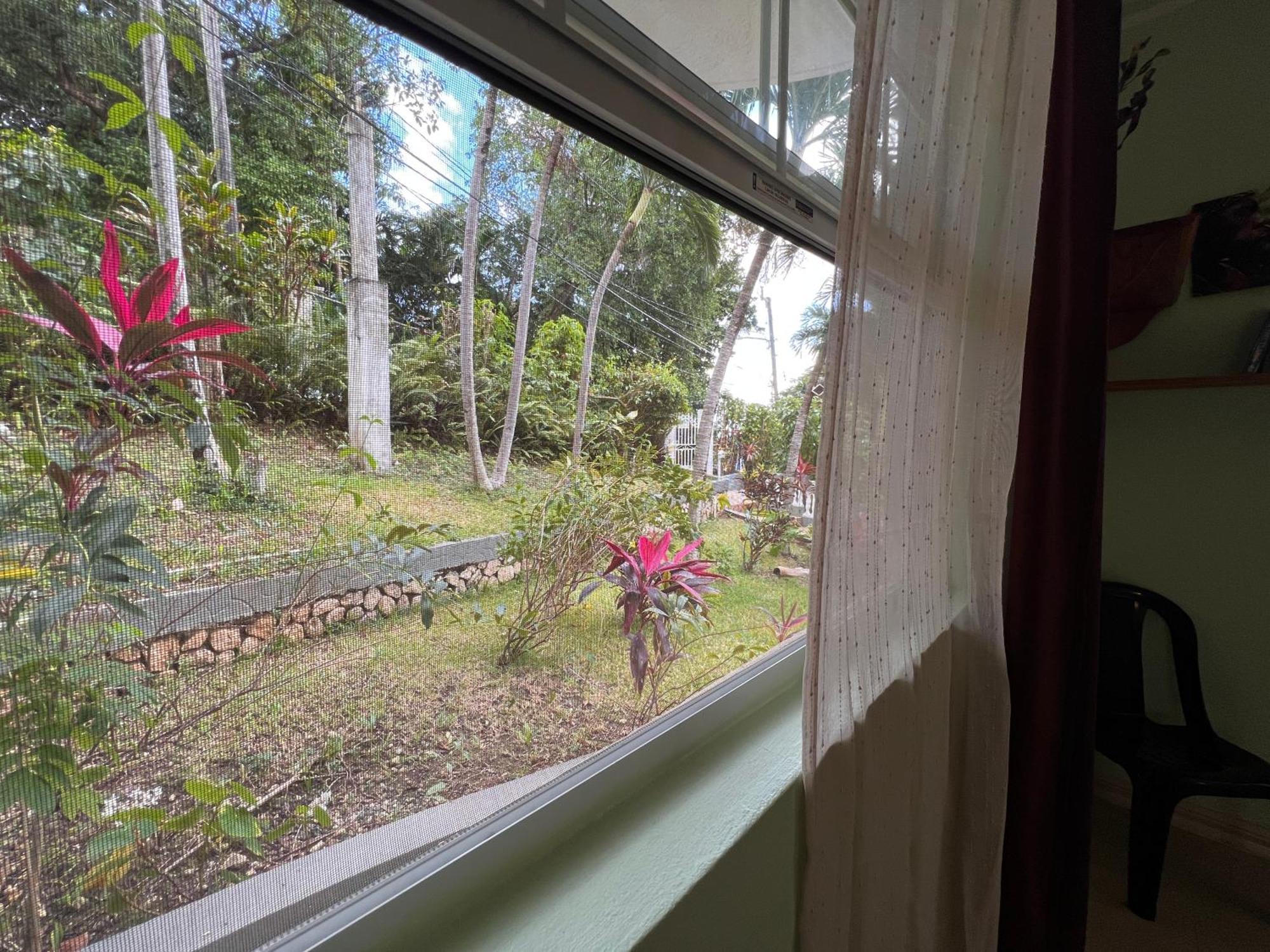 All Nations Guest House Port Antonio Szoba fotó